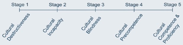 a line graph of cultural competence progresion